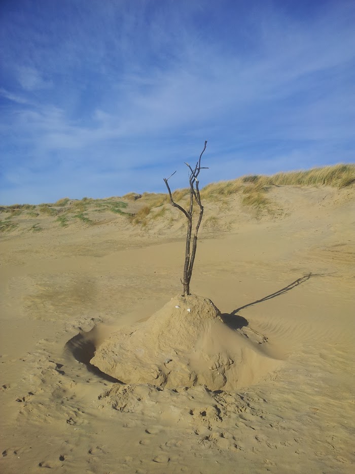 Beachsy January 2016